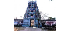 084. திருவாவூர் பசுபதீச்சரம்